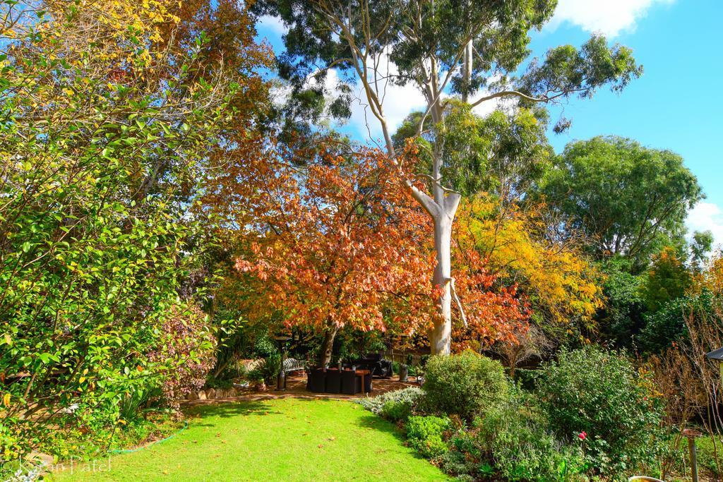 Possum Creek Lodge Gooseberry Hill Luaran gambar