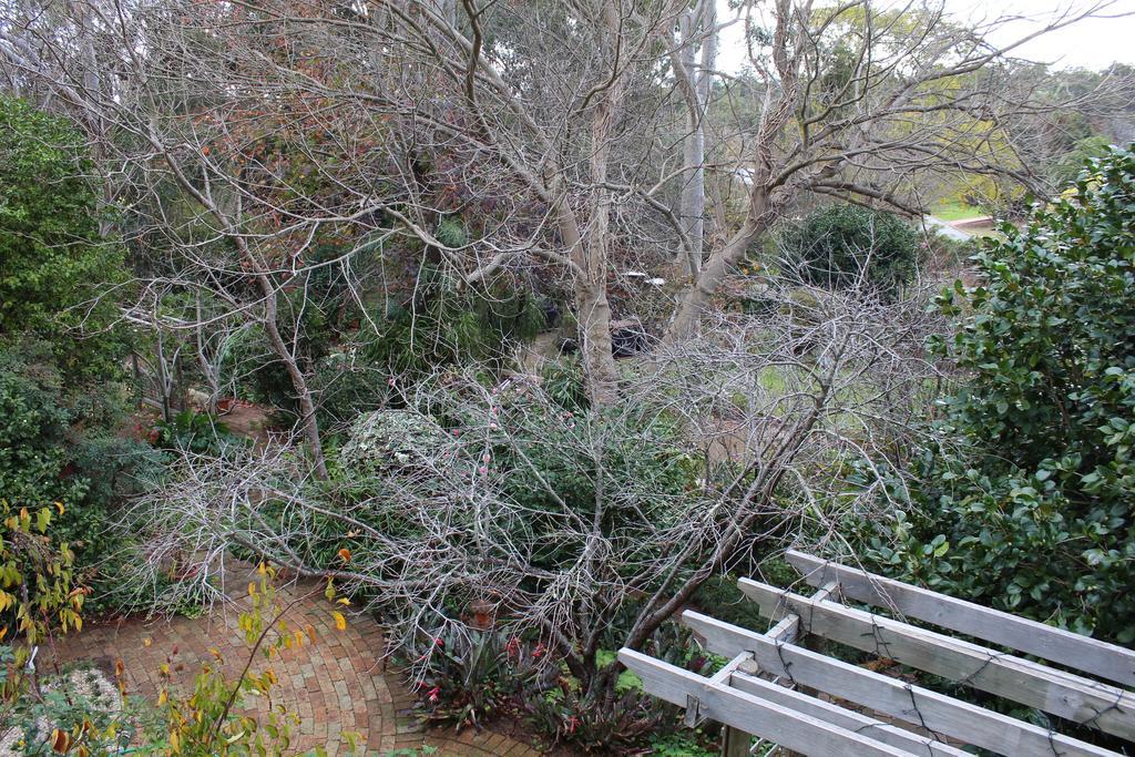 Possum Creek Lodge Gooseberry Hill Bilik gambar
