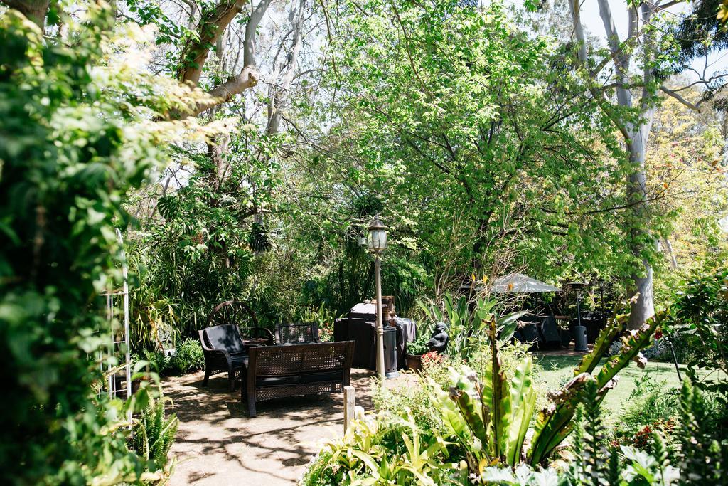 Possum Creek Lodge Gooseberry Hill Luaran gambar
